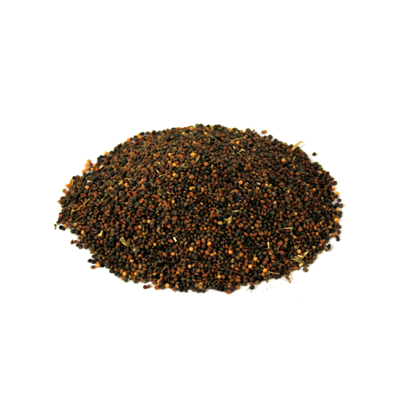 189.png Pansar Essential Arugula Seeds (تخم تارا میرا) - Tukhm-e-Tara Mera - Image 1