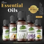 Pansar Essential Fennel Oil Pure Saunf Tel for Digestion & Balance - Image 3