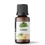 Pansar Essential Ginger Oil Pure Adrak Tel for Pain Relief & Digestion